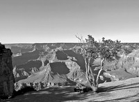 National Parks