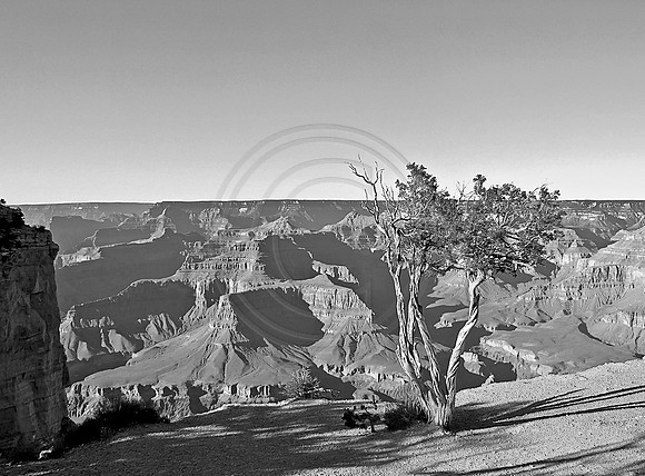National Parks