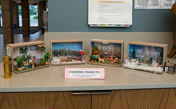 pandemic projects