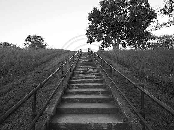 monochrome