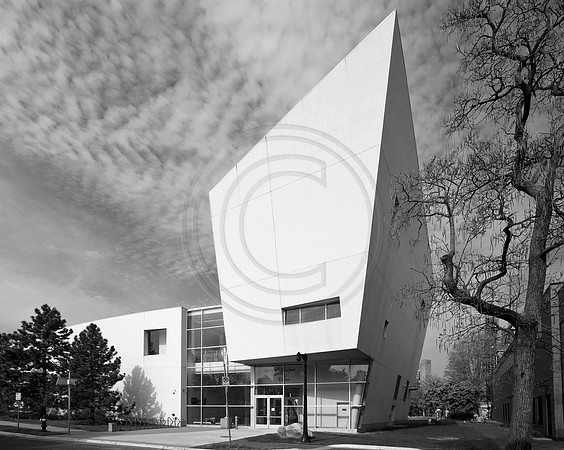 monochrome, campus