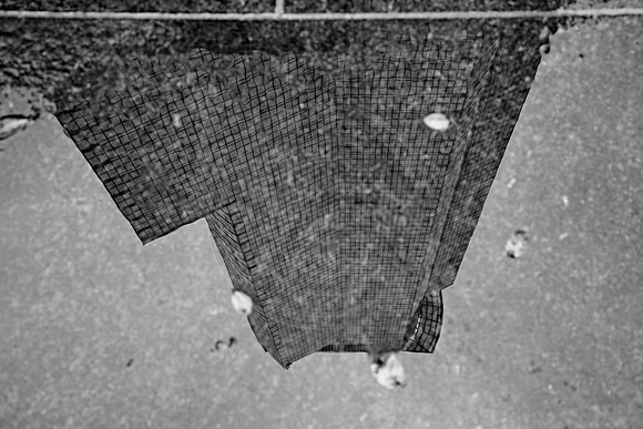 monochrome, reflection