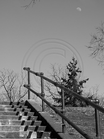 monochrome