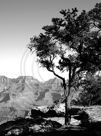 "Grand Canyon"