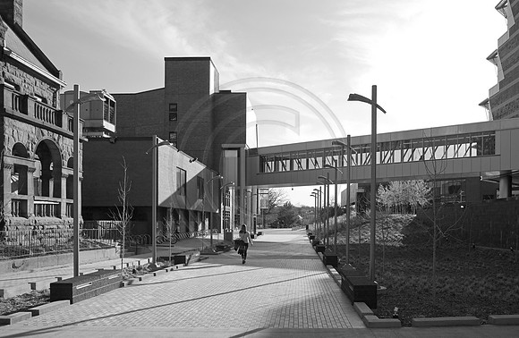 campus, monochrome