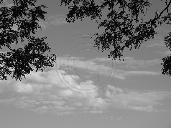 space, monochrome